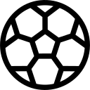 韦芝
